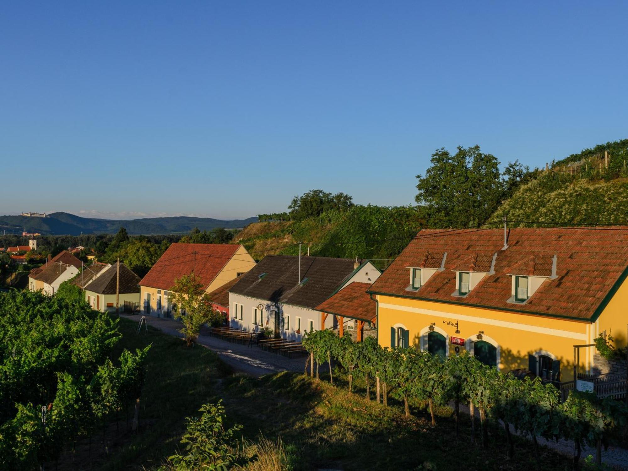 Gaestehaus Familie Trachsler Hotel Rohrendorf bei Krems Екстериор снимка