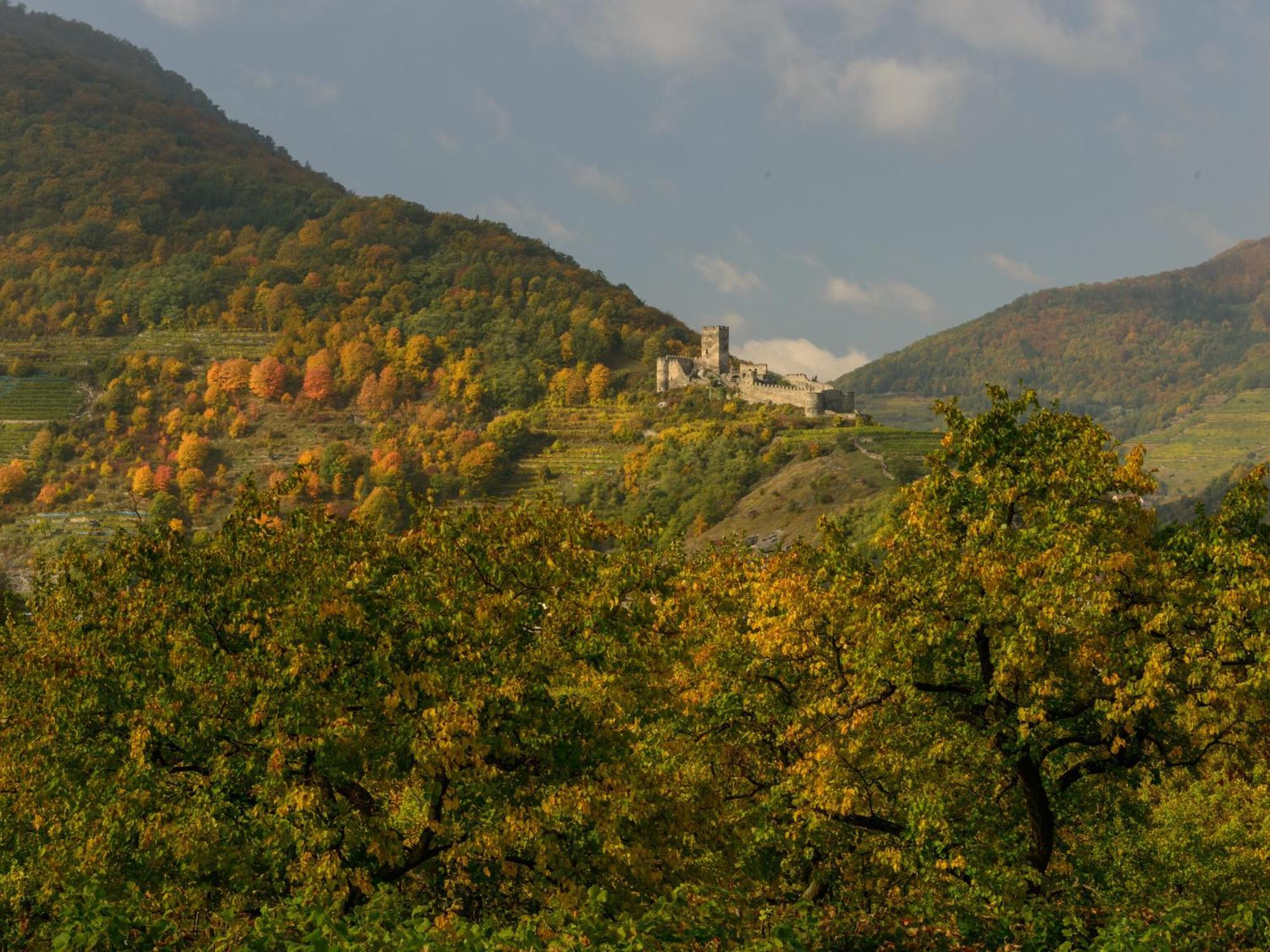 Gaestehaus Familie Trachsler Hotel Rohrendorf bei Krems Екстериор снимка