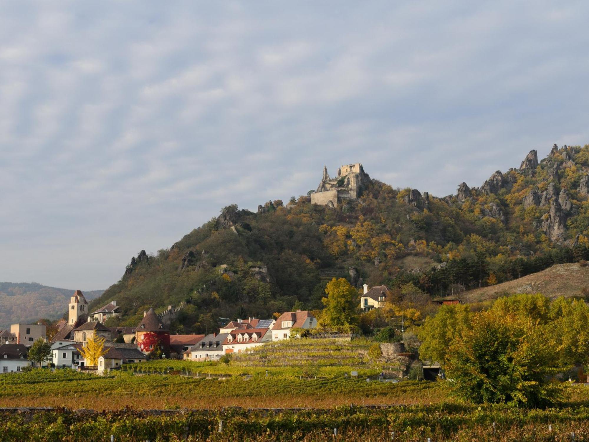 Gaestehaus Familie Trachsler Hotel Rohrendorf bei Krems Екстериор снимка